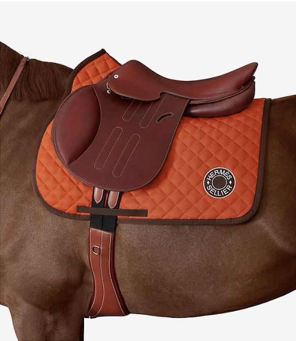 Image cheval