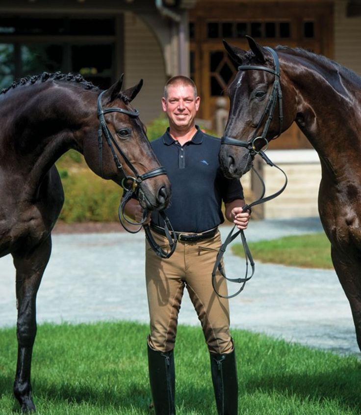 Image cheval