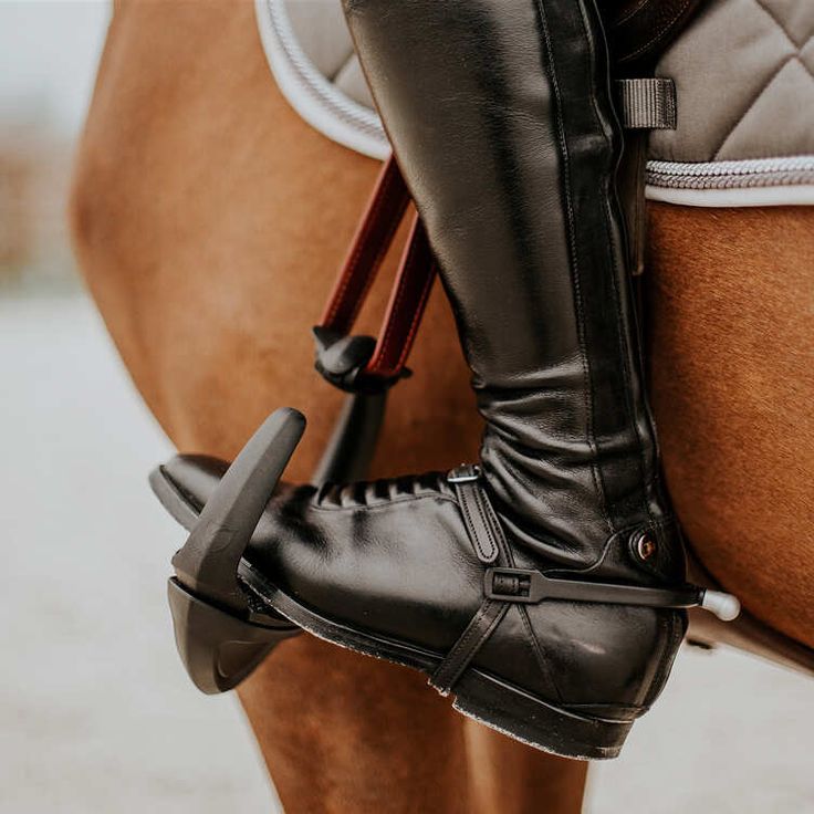 Image cheval