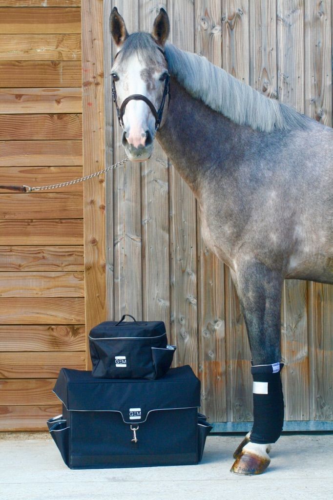 Image cheval