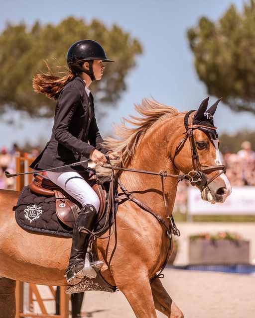 Image cheval