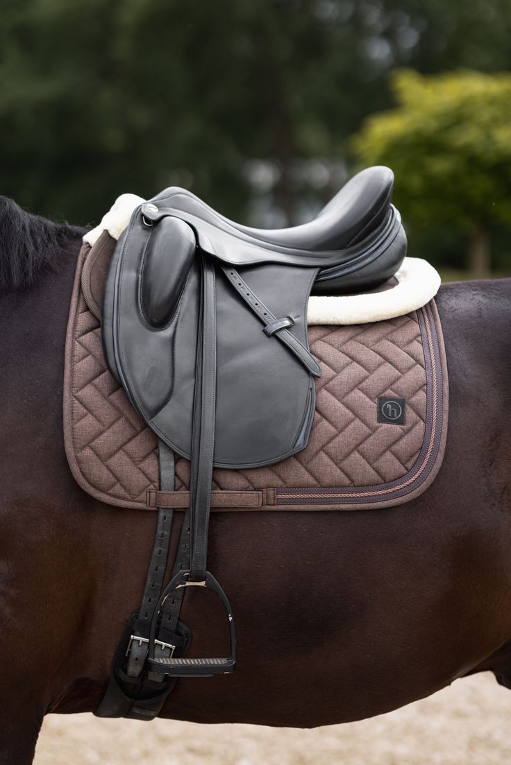 Image cheval