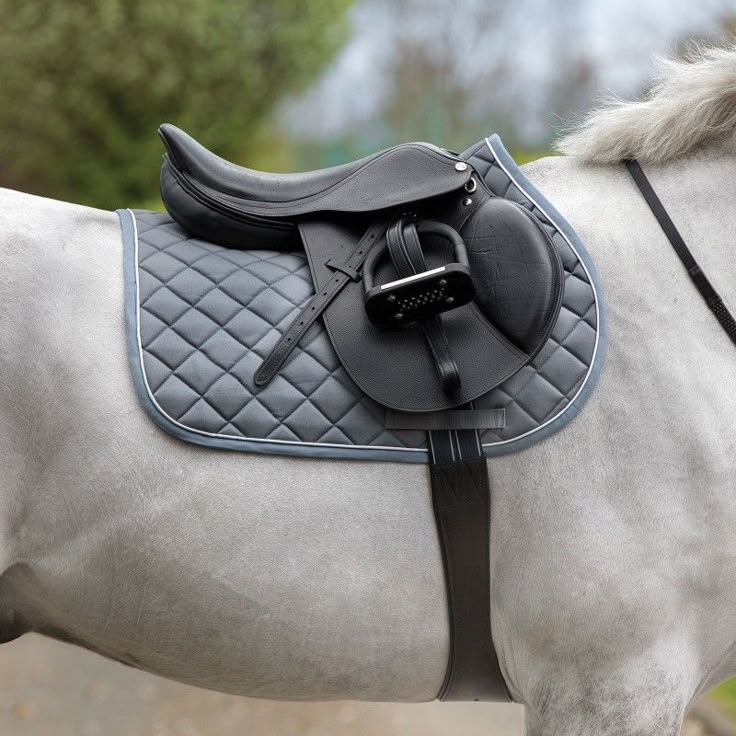 Image cheval