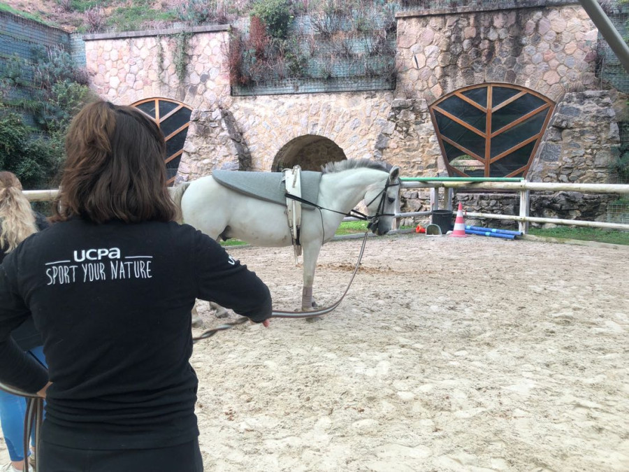 Image cheval