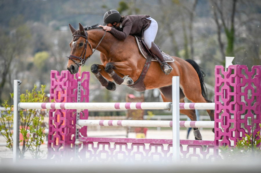 Image cheval