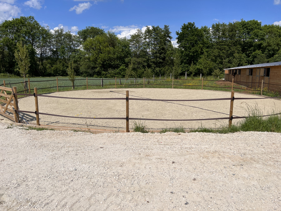 Image cheval