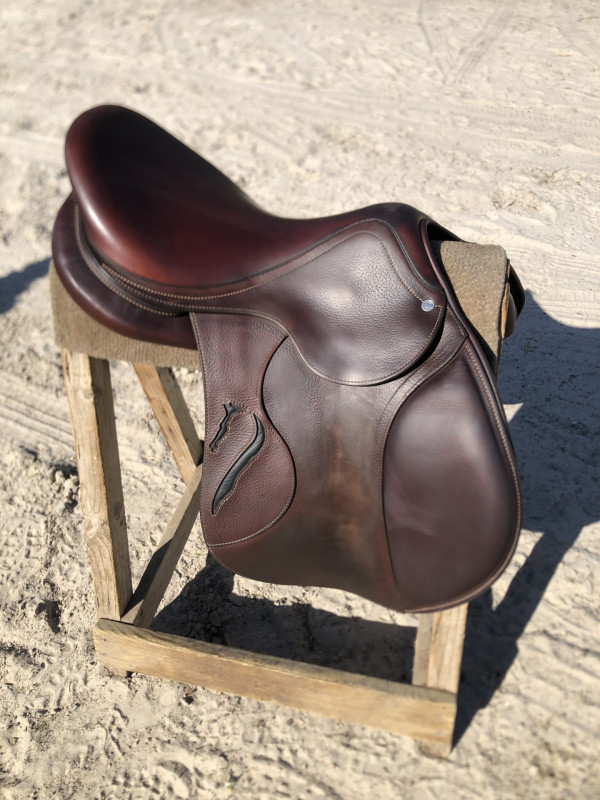 Image cheval