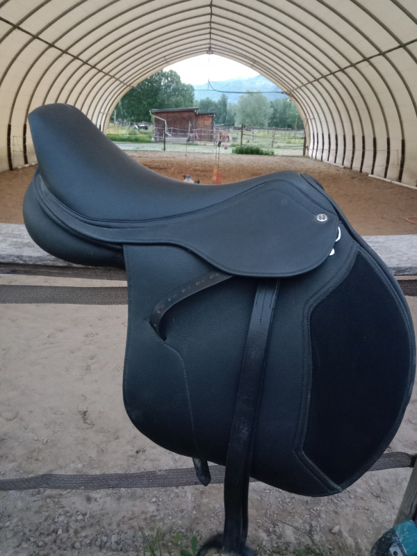 Image cheval