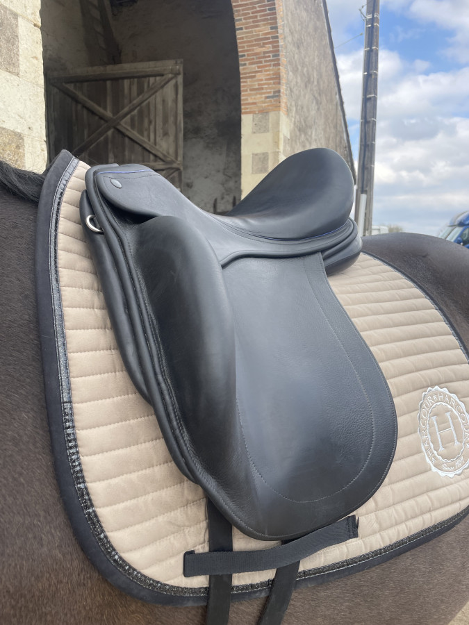 Image cheval