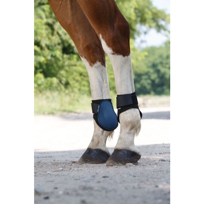 Image cheval