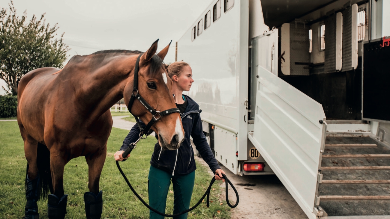 Image cheval